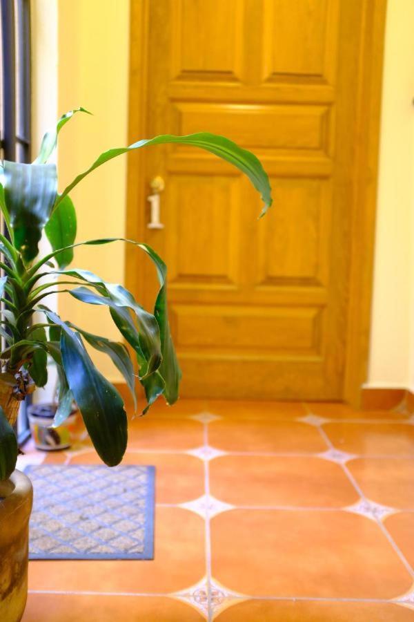Pozzito Boutique Bed and Breakfast San Miguel de Allende Buitenkant foto
