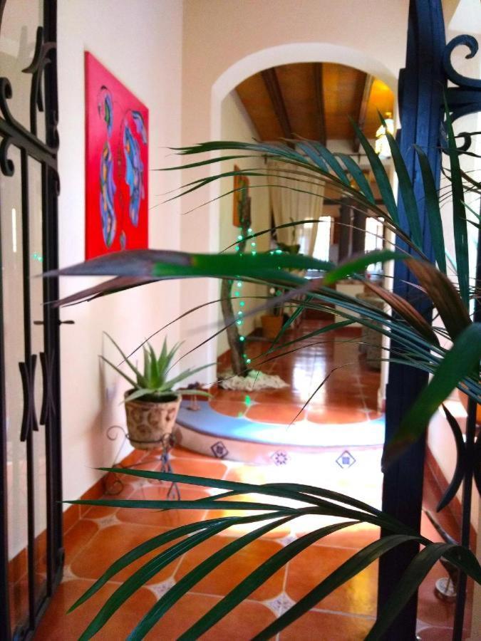 Pozzito Boutique Bed and Breakfast San Miguel de Allende Buitenkant foto